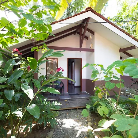 Bambutel Cocles Hotel Puerto Viejo de Talamanca Exterior photo